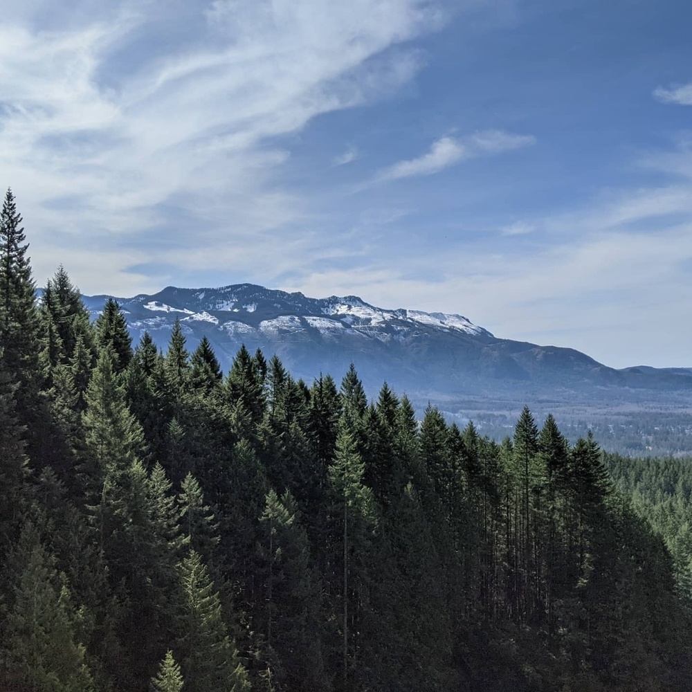 Meet your Posher, Kat